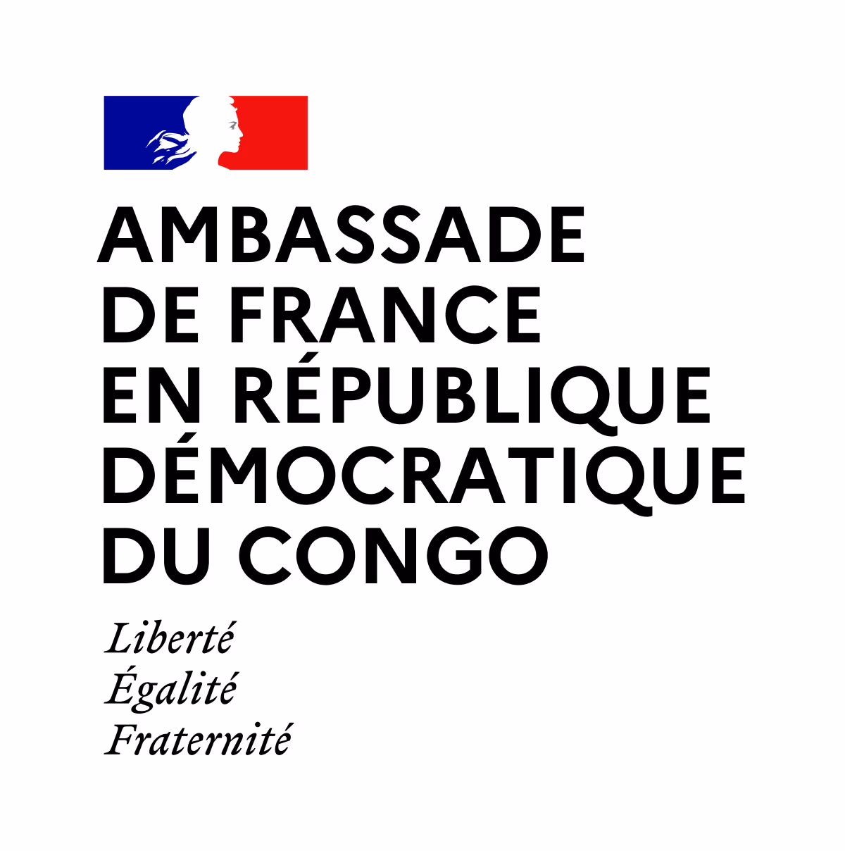 Ambassade de France company logo