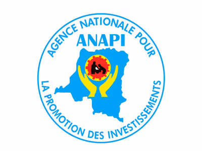 ANAPI company logo